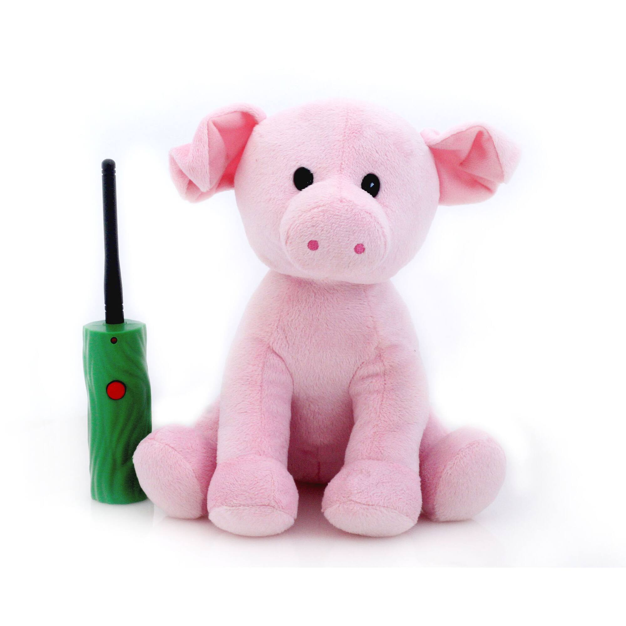 Hide & Seek Pals - Peaches the Piglet